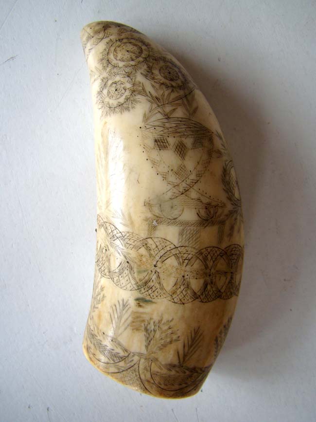 A charming 19th century Scrimshaw Whale's Tooth — image 2